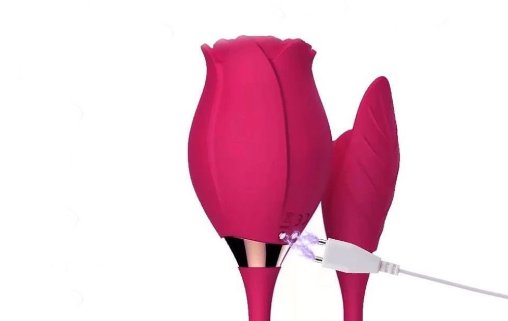 Rose's vibrator is not charging
